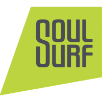 SoulSurf Moodle LMS